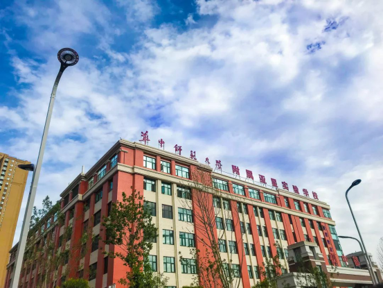 双河居入市网络软æ–?019.2.19(放在“开盘信息”板块置顶)895.png