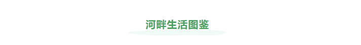 企业微信截图_17213542714810.png