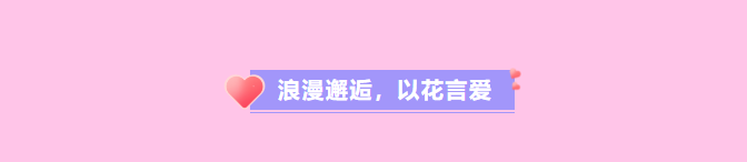 企业微信截图_17235124061244.png