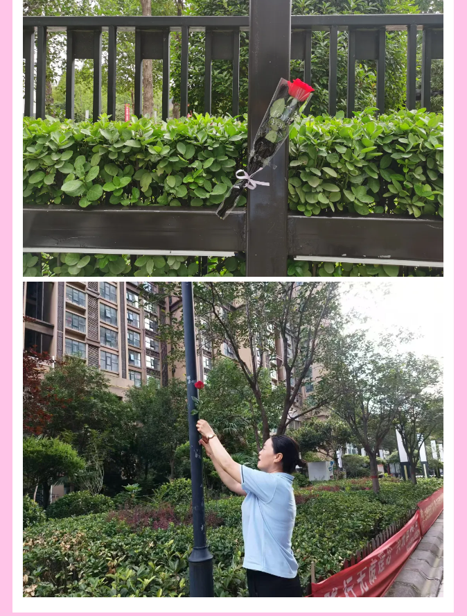 企业微信截图_17235120679327.png