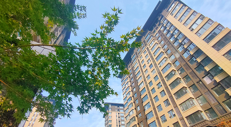 企业微信截图_17339898756187.png